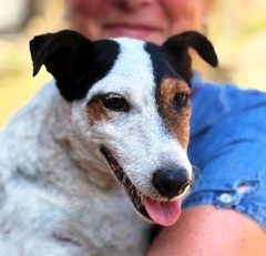 Zwei alte Gebäude auf einer offenen Fläche, umgeben von Sträuchern und Bäumen.