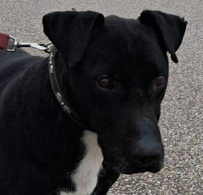 Zwei alte Gebäude auf einer offenen Fläche, umgeben von Sträuchern und Bäumen.