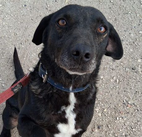 Zwei alte Gebäude auf einer offenen Fläche, umgeben von Sträuchern und Bäumen.